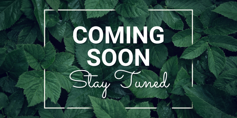leafs with the text "Coming soon, stay tuned"
