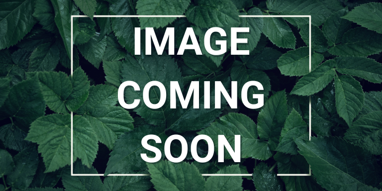 Image coming soon