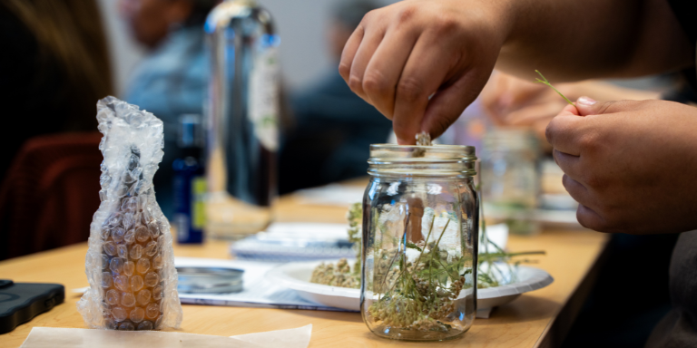 a persons hands putting plant material into a mason jar
