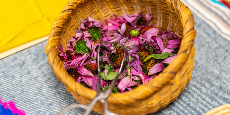 pink flower petals in a basket