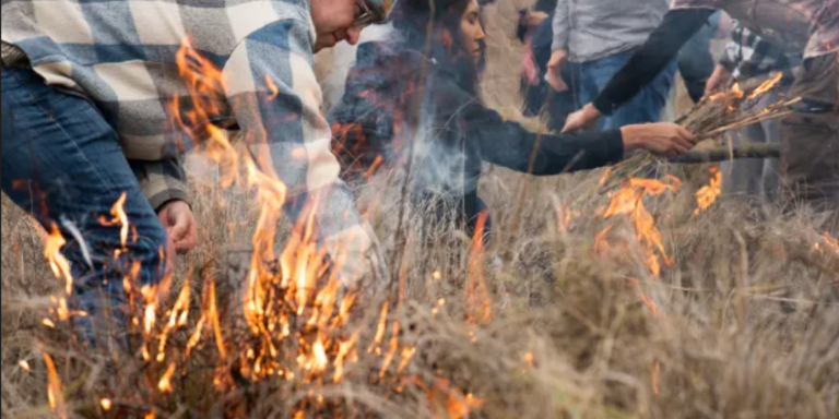 photograph of dry grass burning while half a dozen people are tending to it
